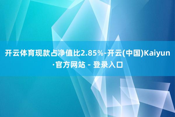 开云体育现款占净值比2.85%-开云(中国)Kaiyun·官方网站 - 登录入口