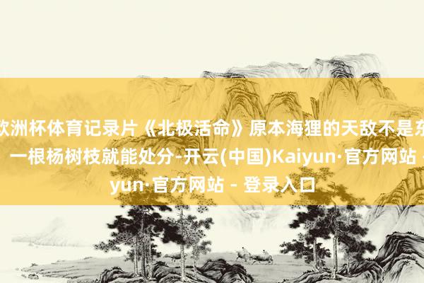 欧洲杯体育记录片《北极活命》原本海狸的天敌不是东说念主类，一根杨树枝就能处分-开云(中国)Kaiyun·官方网站 - 登录入口
