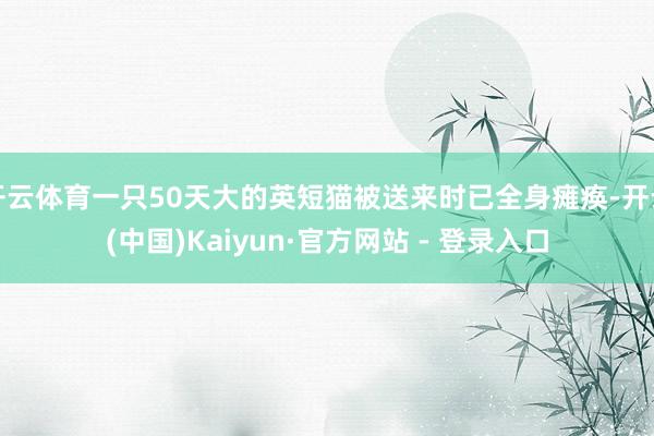 开云体育一只50天大的英短猫被送来时已全身瘫痪-开云(中国)Kaiyun·官方网站 - 登录入口