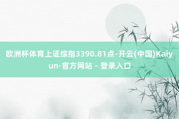 欧洲杯体育上证综指3390.81点-开云(中国)Kaiyun·官方网站 - 登录入口