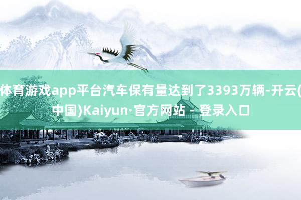 体育游戏app平台汽车保有量达到了3393万辆-开云(中国)Kaiyun·官方网站 - 登录入口