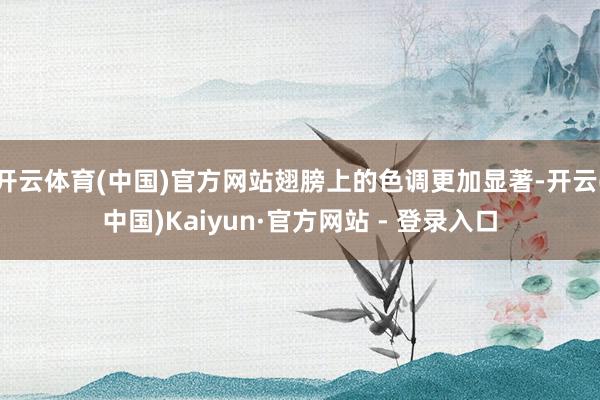 开云体育(中国)官方网站翅膀上的色调更加显著-开云(中国)Kaiyun·官方网站 - 登录入口