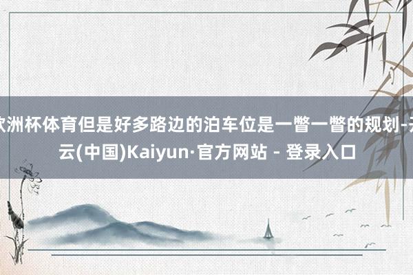 欧洲杯体育但是好多路边的泊车位是一瞥一瞥的规划-开云(中国)Kaiyun·官方网站 - 登录入口