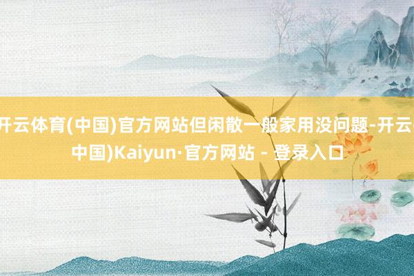 开云体育(中国)官方网站但闲散一般家用没问题-开云(中国)Kaiyun·官方网站 - 登录入口