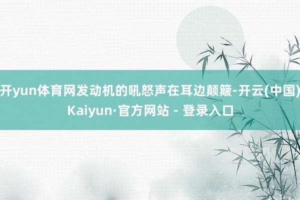 开yun体育网发动机的吼怒声在耳边颠簸-开云(中国)Kaiyun·官方网站 - 登录入口