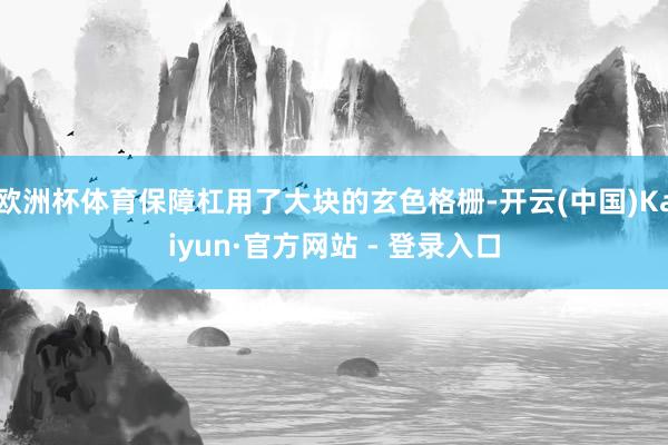欧洲杯体育保障杠用了大块的玄色格栅-开云(中国)Kaiyun·官方网站 - 登录入口