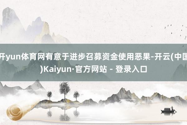 开yun体育网有意于进步召募资金使用恶果-开云(中国)Kaiyun·官方网站 - 登录入口
