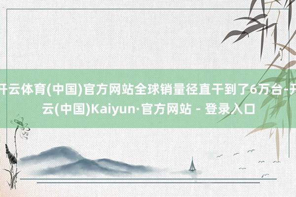 开云体育(中国)官方网站全球销量径直干到了6万台-开云(中国)Kaiyun·官方网站 - 登录入口