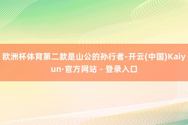 欧洲杯体育第二款是山公的孙行者-开云(中国)Kaiyun·官方网站 - 登录入口