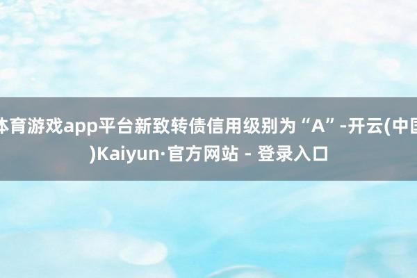 体育游戏app平台新致转债信用级别为“A”-开云(中国)Kaiyun·官方网站 - 登录入口
