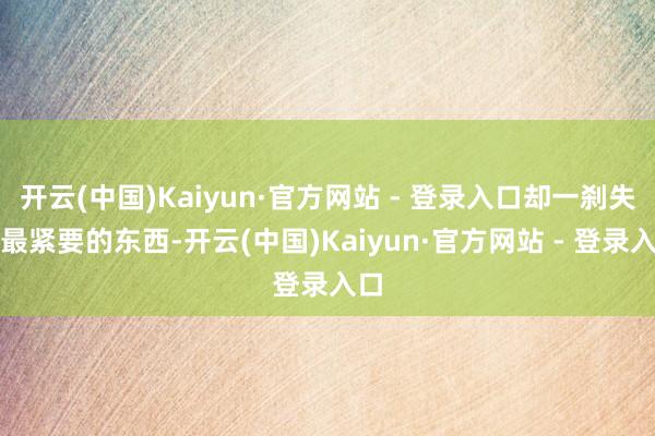 开云(中国)Kaiyun·官方网站 - 登录入口却一刹失去最紧要的东西-开云(中国)Kaiyun·官方网站 - 登录入口