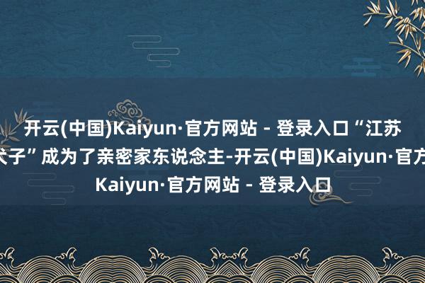 开云(中国)Kaiyun·官方网站 - 登录入口“江苏姆妈”与“安徽犬子”成为了亲密家东说念主-开云(中国)Kaiyun·官方网站 - 登录入口