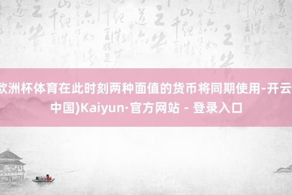 欧洲杯体育在此时刻两种面值的货币将同期使用-开云(中国)Kaiyun·官方网站 - 登录入口
