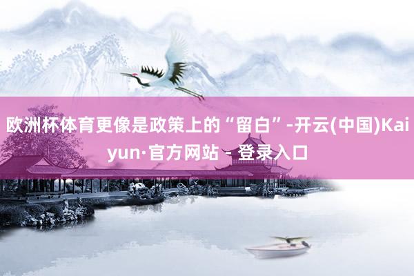 欧洲杯体育更像是政策上的“留白”-开云(中国)Kaiyun·官方网站 - 登录入口