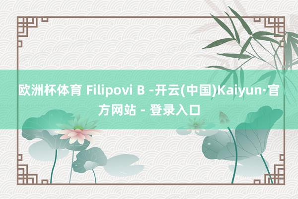 欧洲杯体育 Filipovi B -开云(中国)Kaiyun·官方网站 - 登录入口
